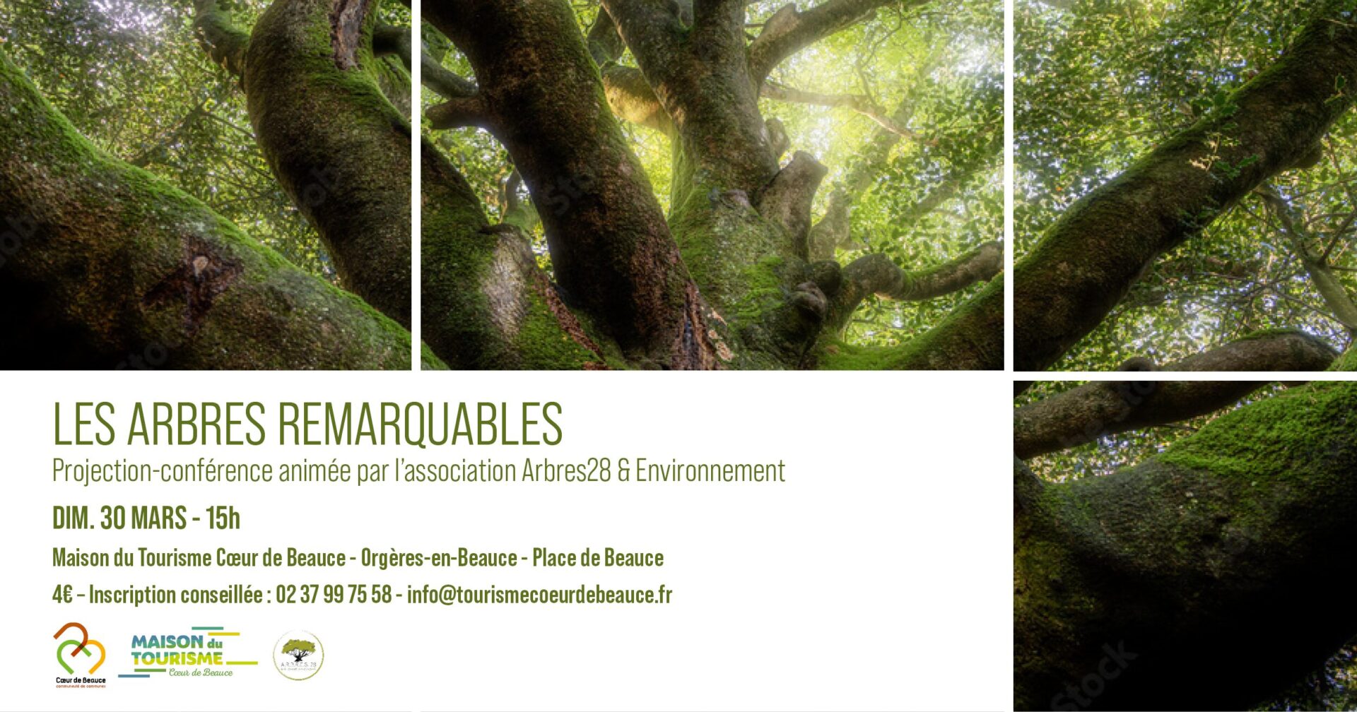Arbre En 3 Lettresnull